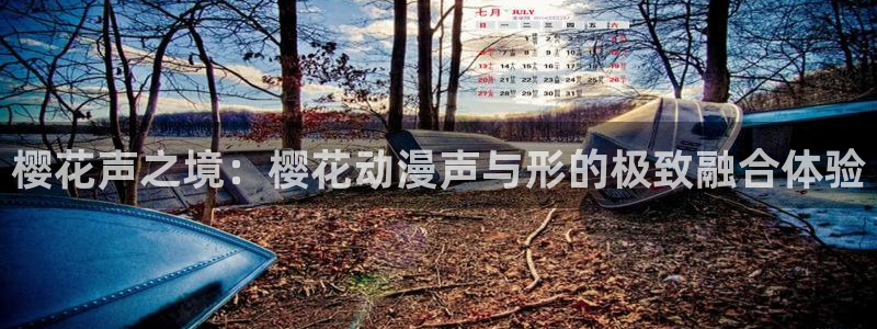omofun免费正版下载：樱花声之境：樱花动漫声与形的极致融合体验