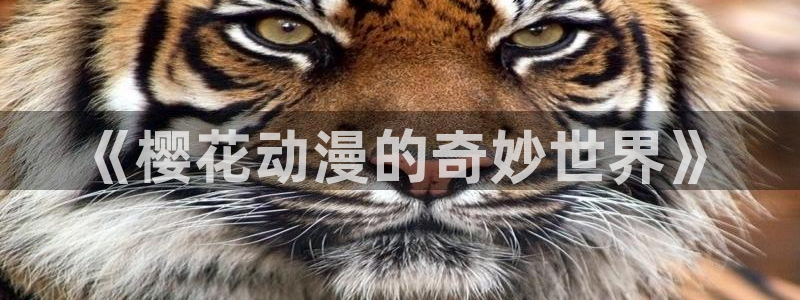omofun动漫网,omofun弹幕网：《樱花动漫的奇妙世界》
