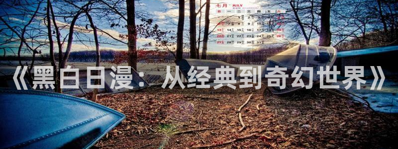 omofun动画网：《黑白日漫：从经典到奇幻世界》