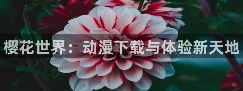 omofun中文官网：樱花世界：动漫下载与体验新天地