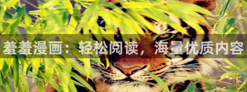 omofun动漫在线观看动漫最新版本更新：羞羞漫画：轻松阅读，海量优质内容