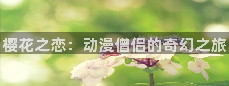 omofun在线观看免费动漫：樱花之恋：动漫僧侣的奇幻之旅