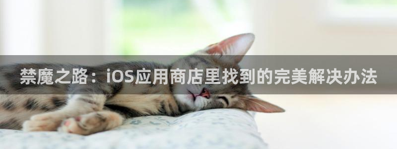 omofun电脑网页版：禁魔之路：iOS应用商店里找到的完美解决办法
