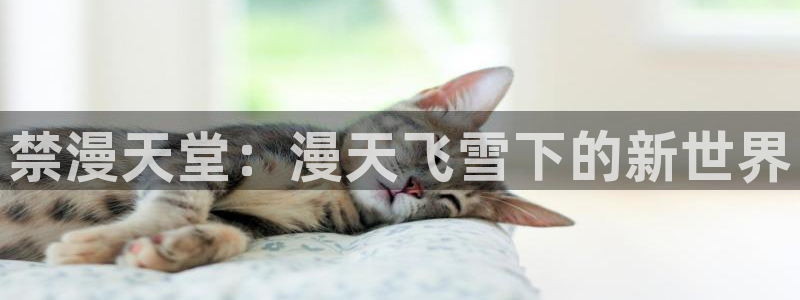 omofun动漫一个：禁漫天堂：漫天飞雪下的新世界