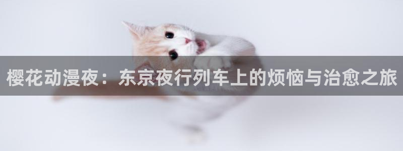omofun动漫官方下载：樱花动漫夜：东京夜行列车上的烦恼与治愈之旅