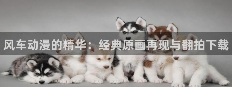 omofun动漫视频网提供最新最快的动漫新番：风车动漫的精华：经典原画再现与翻拍下载