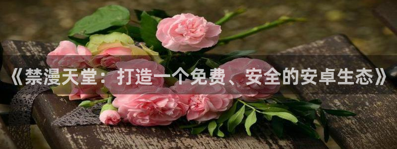 omofun 宕卧略：《禁漫天堂：打造一个免费、安全的安卓生态》